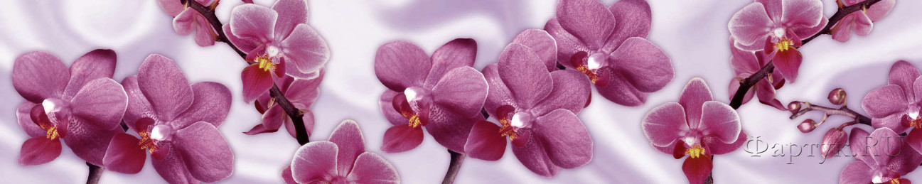 Скинали — Крупная орхидея сиреневая на фоне шелка 