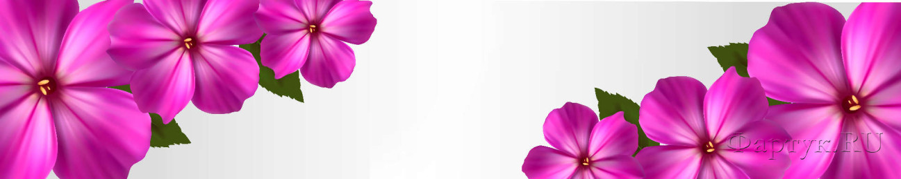 Скинали — Фиолетовые цветы с желтыми тычинками