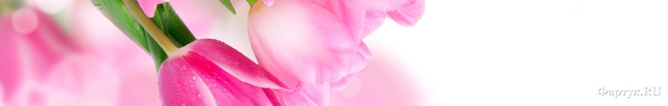 Скинали — Нежно-розовые тюльпаны