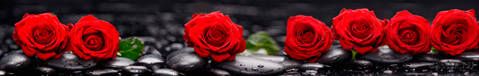 Скинали — Красные розы на черных камнях