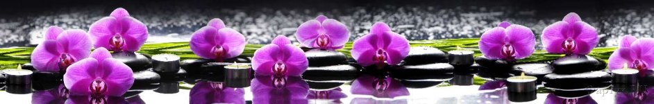 Скинали — Сиреневая орхидея