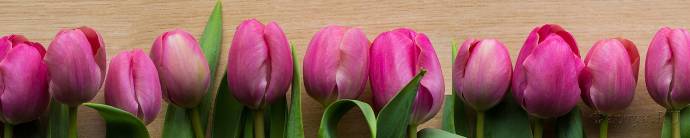 Скинали — Фиолетовые тюльпаны на коричневом