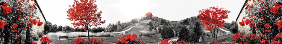 Скинали — пейзаж черно-белый с красными цветами