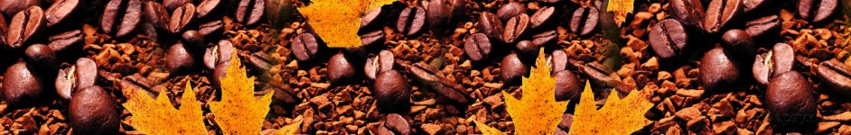 Скинали — Кофейные зерна и кленовые листья