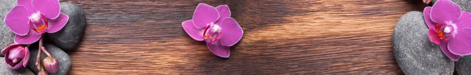 Скинали — Розовые орхидеи на камнях