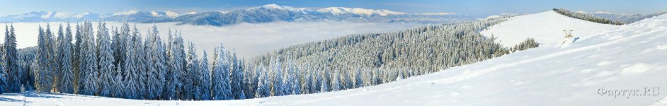Скинали — Зимний горный пейзаж с елями