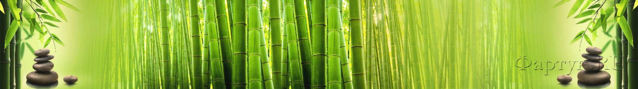 Скинали — Бамбуковые зеленые стебли и черные камни