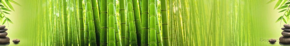 Скинали — Бамбуковые зеленые стебли и черные камни