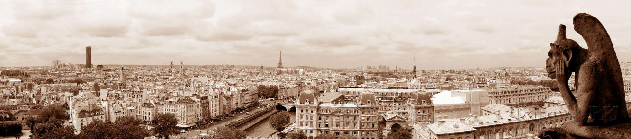 Скинали — Панорама Парижа