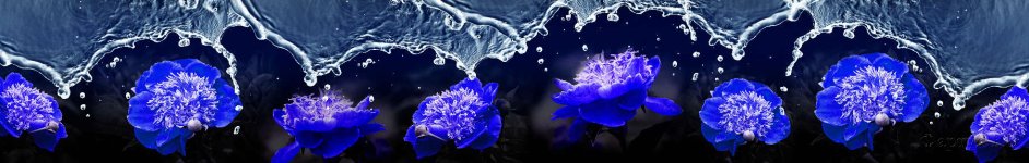 Скинали — Ярко-синие цветы и вода 