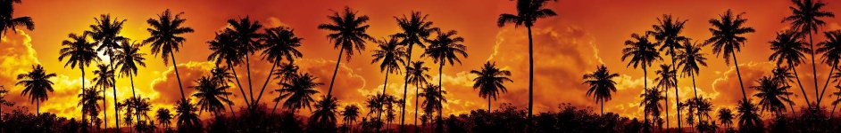 Скинали — Пальмы на оранжевом закате